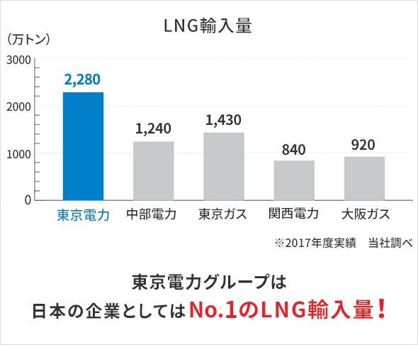 東京電力グループは日本の企業としてはNo.1の輸入量！